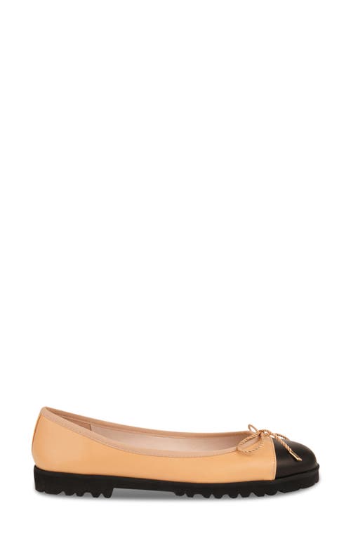 Paul Mayer Bravo Lug Sole Ballet In Multi