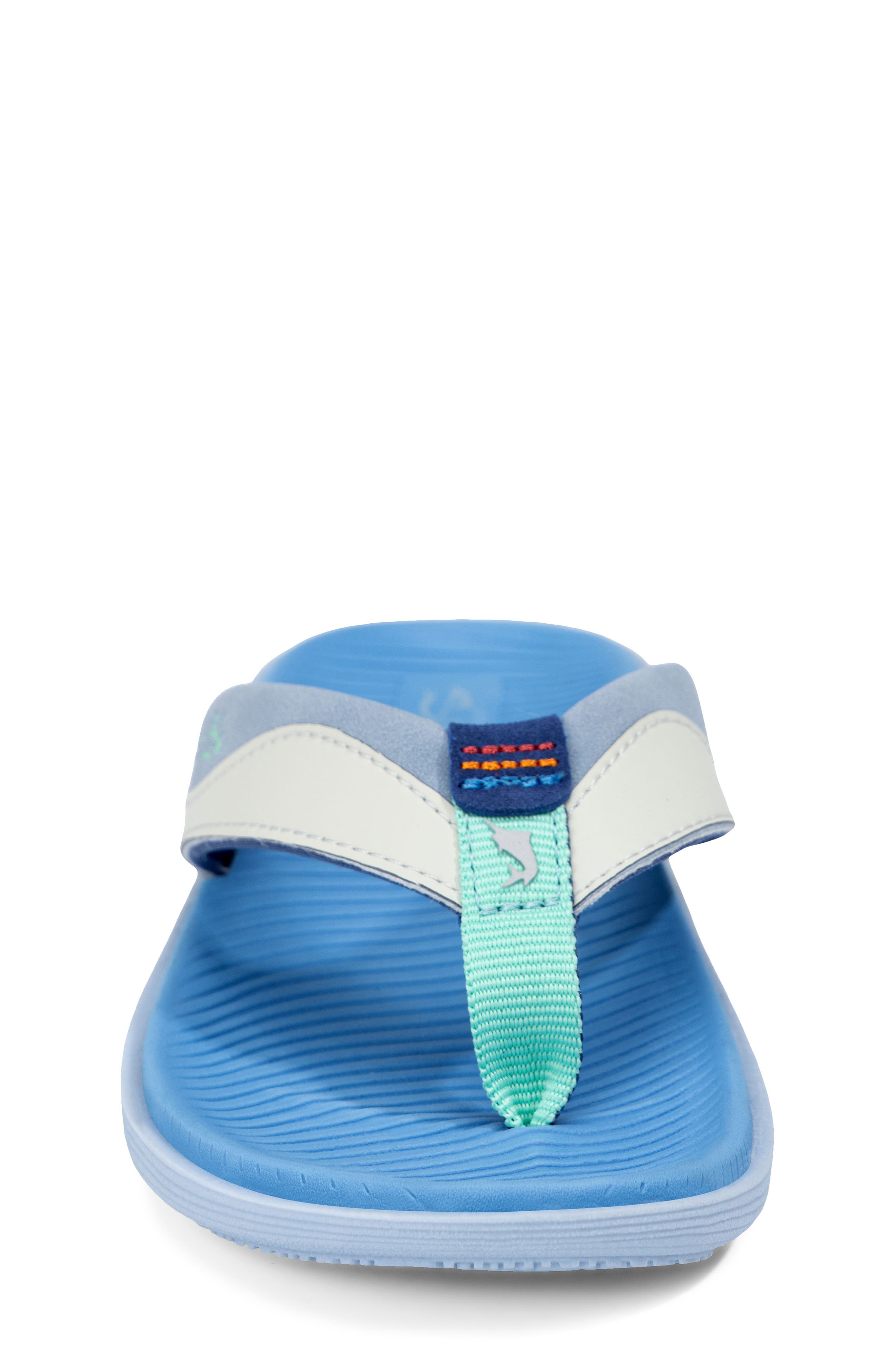 Kids' The Dune Flip Flop, Alternate, color, BLUE