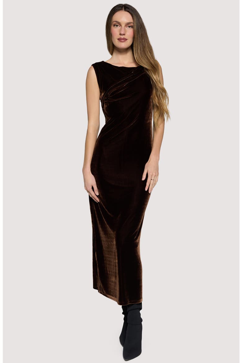 Woodland Hour Stretch Velvet Maxi Dress, Alternate, color, BROWN