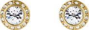 Ted Baker London Soletia Solitaire Crystal Halo Stud Earrings