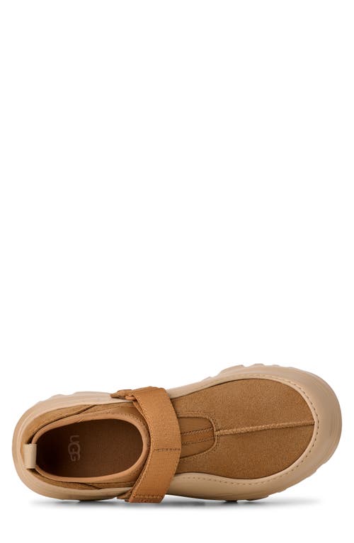 Ugg(r) Peakmod Lowcut Slip-on Shoe In Brown