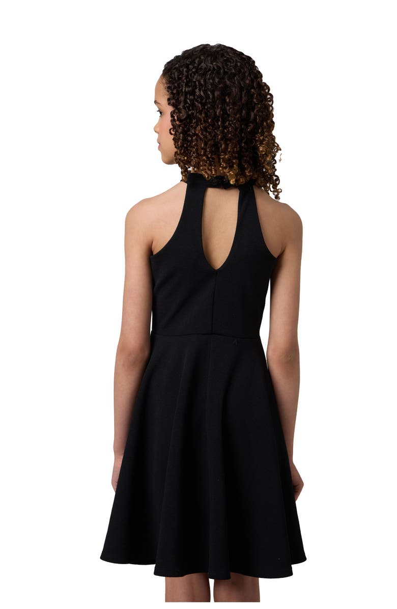 Un Deux Trois Skater Halter Dress in Longer Length, Alternate, color, Black