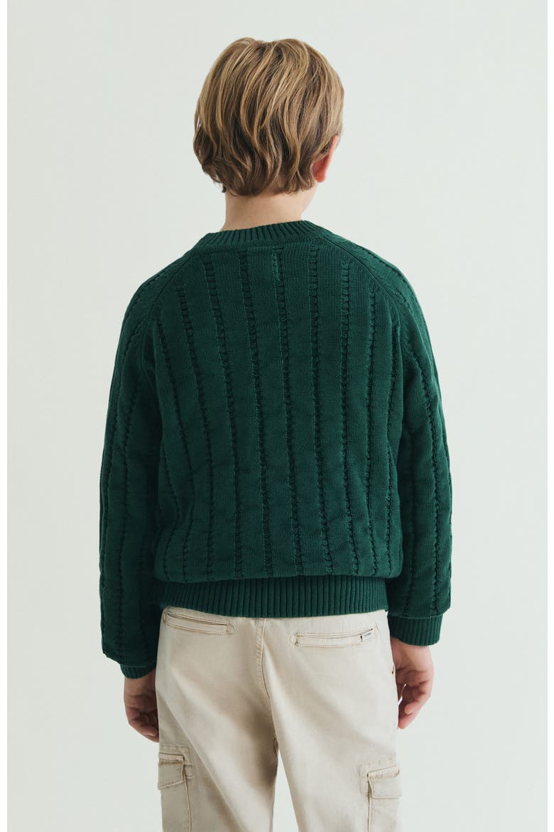 Kids Raglan Sleeve Knitted Sweater, Alternate, color, Green