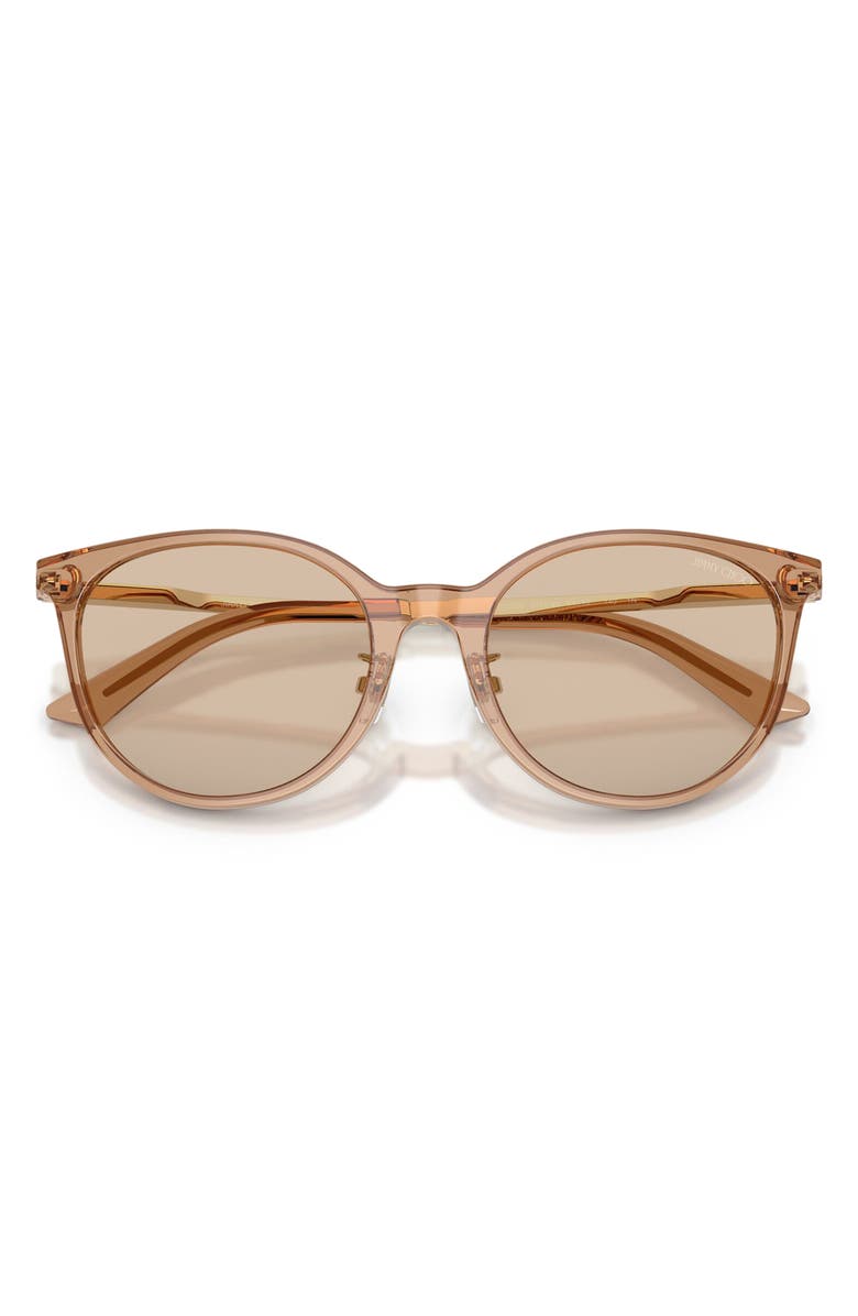 Jimmy Choo 54mm Phantos Sunglasses, Alternate, color, Transparent Tan / Light Brown