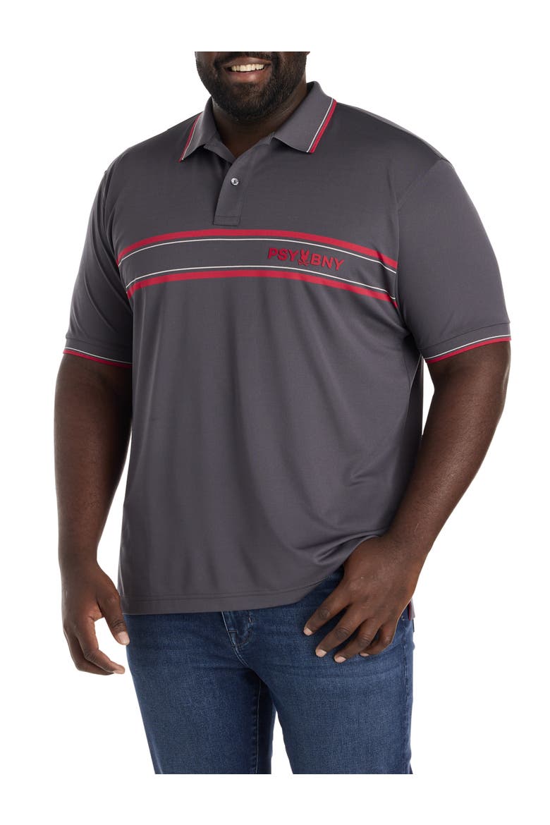 Big & Tall Ives Sport Polo Shirt, Main, color, BLACKENED PEARL