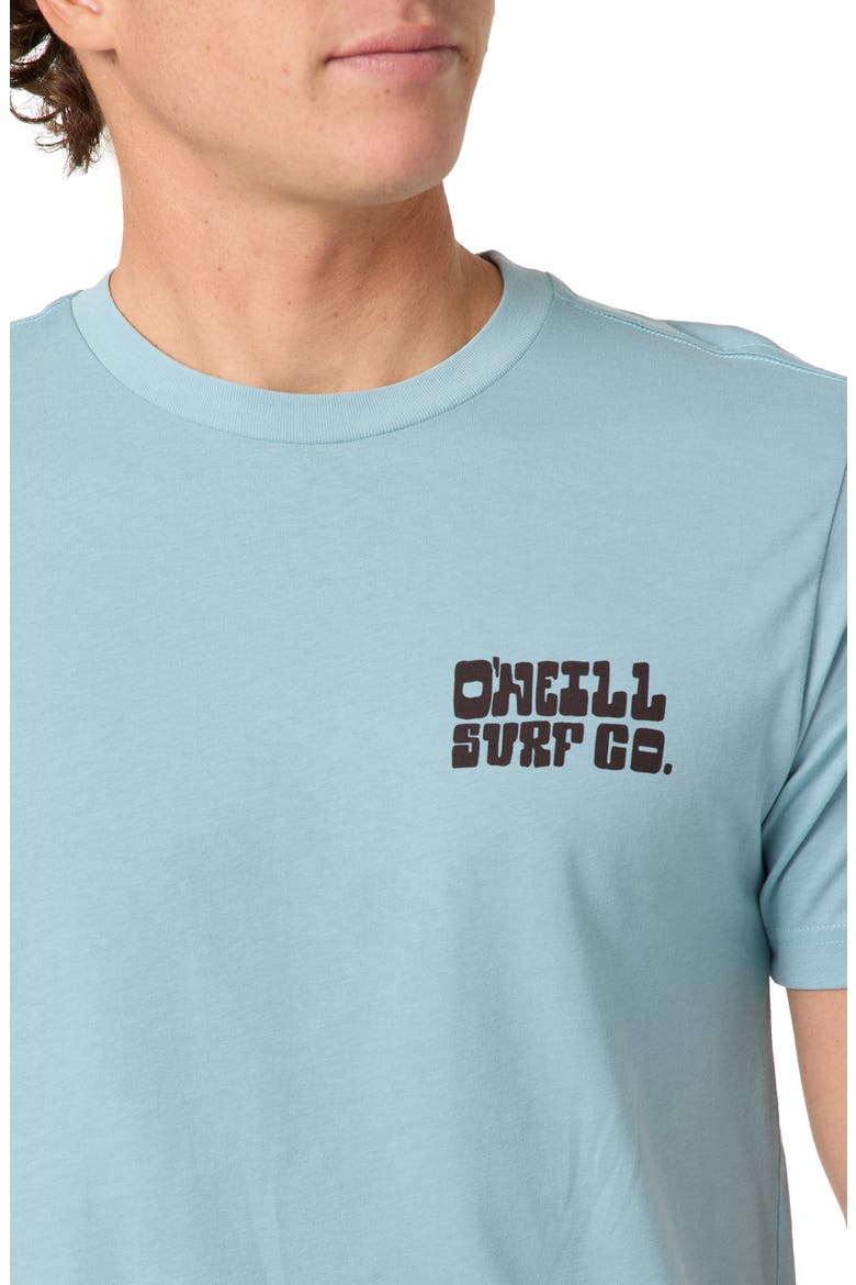 De La Cruzer Classic Cotton Graphic T-Shirt, Alternate, color, STONE BLUE