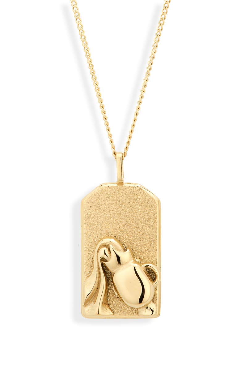Jenny Bird Zodiac Pendant Necklace, Main, color, Gold - Aquarius
