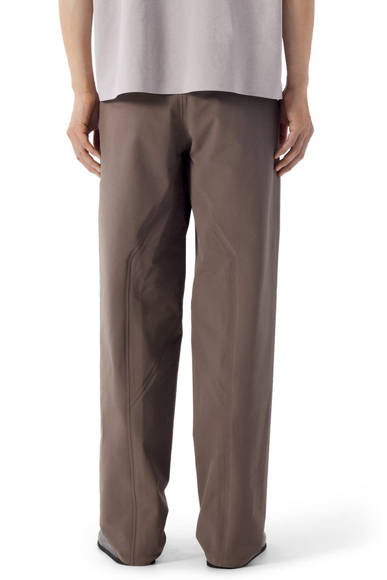Spere Water Repellent Soft Shell Pants, Alternate, color, SABLE