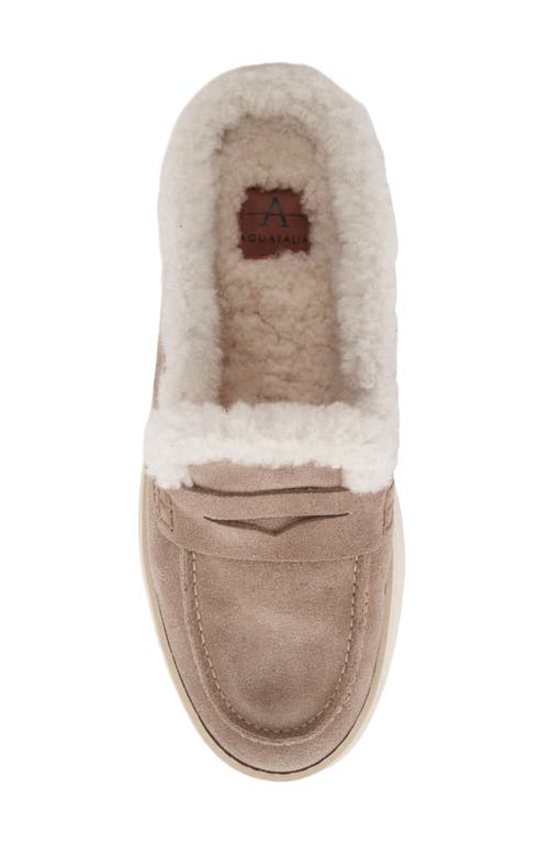Aquatalia Ameila Genuine Shearling Lined Penny Loafer In Neutral