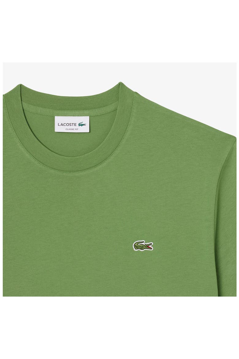 Cotton Crewneck T-Shirt, Alternate, color, LAMBS LETTUCE
