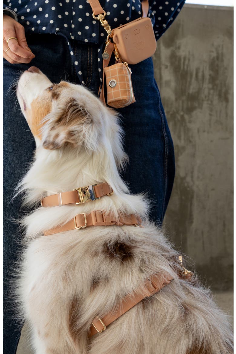 Cloud Waterproof Dog Collar, Alternate, color, CHAI BROWN