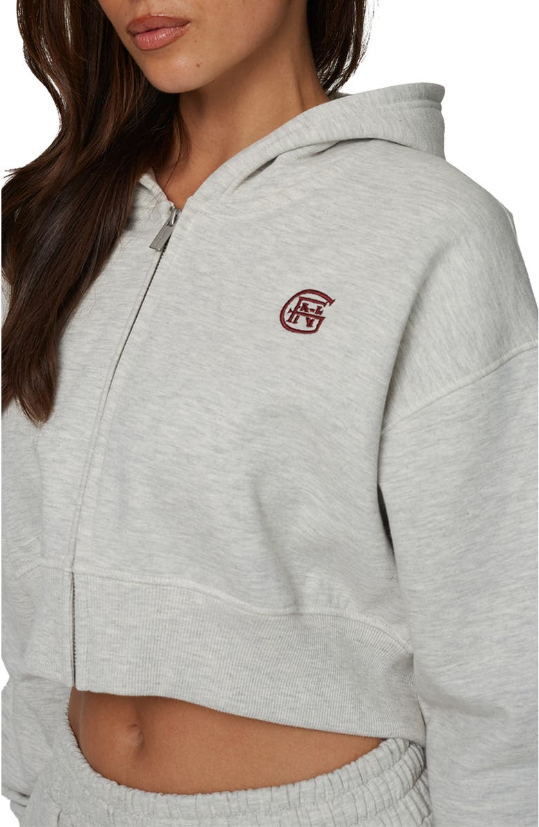 Good For Nothing Cropped Zipped Halftone Hoodie, Alternate, color, Grey