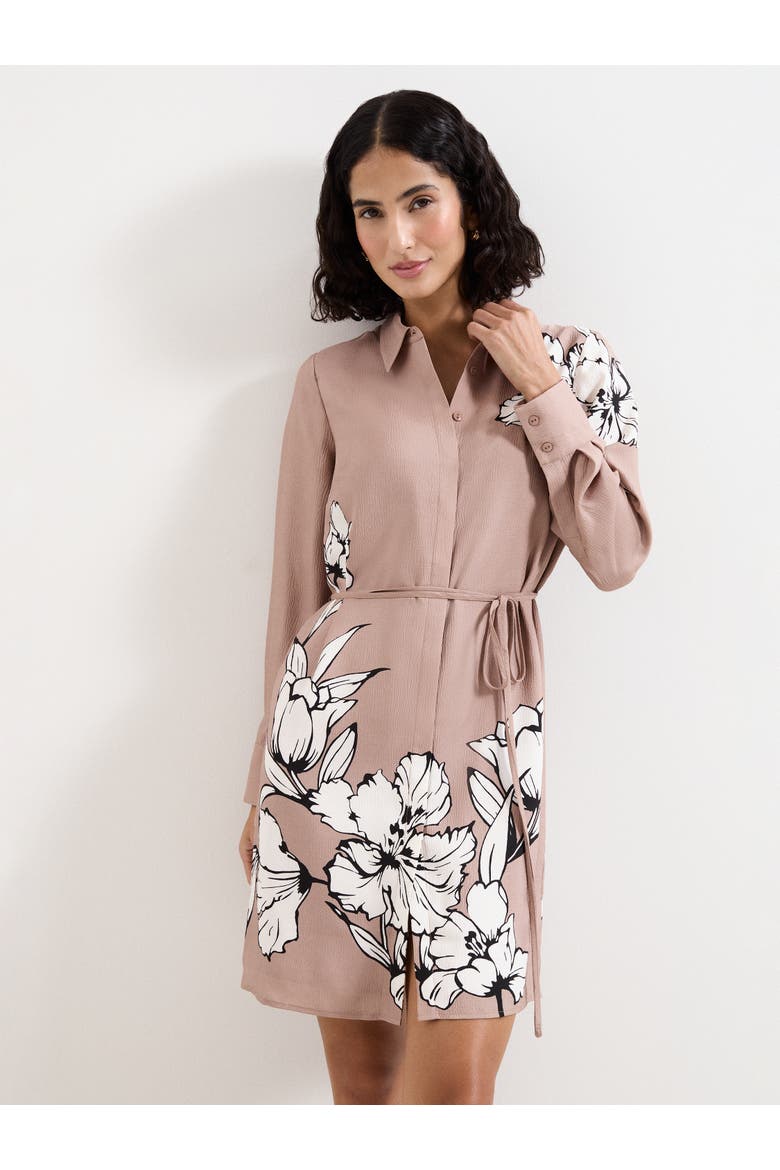Kendra Belted Shirt Dress, Alternate, color, Brown