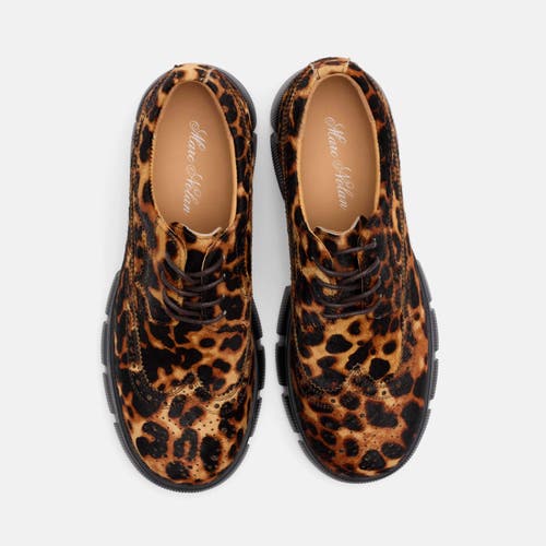 Marc Nolan Ms. Alexander Leather Lug Wingtip Derby In Animal Print