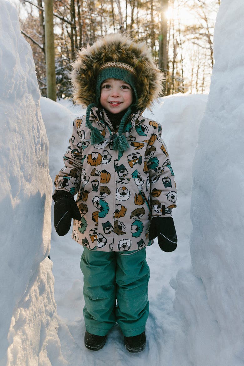 Discover Dog Fleece Jacket Snow Pants Two Piece Snowsuit, Alternate, color, Beige Printed with Dogs