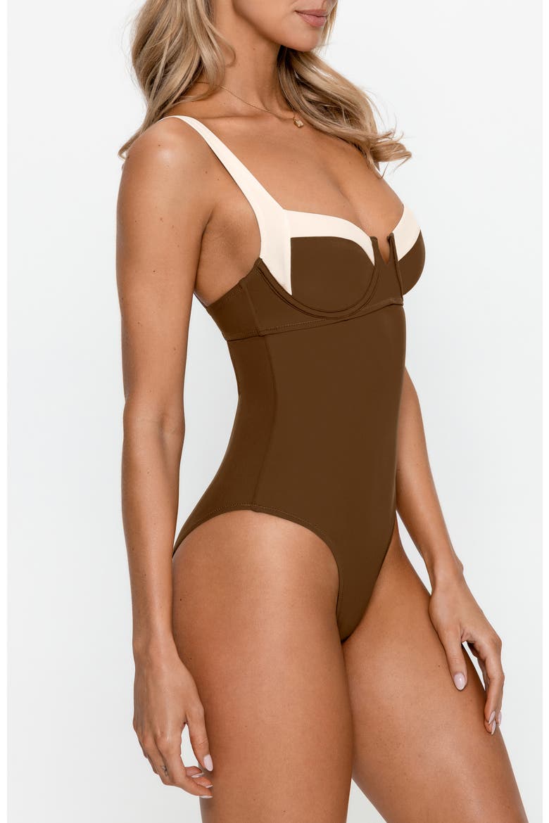 Colorblock High Leg One-Piece Swimsuit, Alternate, color, Brown
