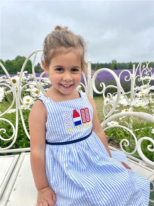 Florence Eiseman Seersucker Dress With Popscicles In Multi