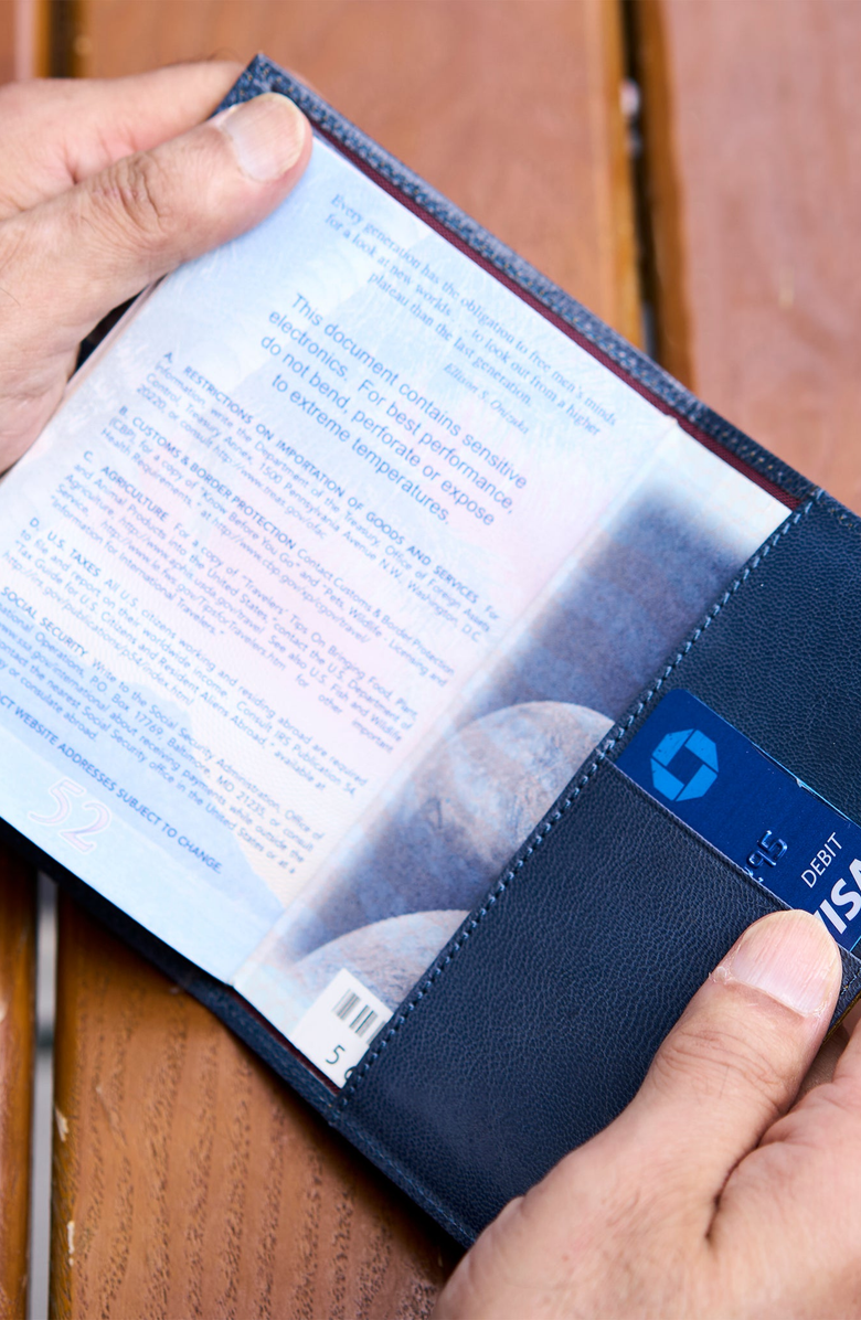 Tusk Siam Passport Cover, Alternate, color, Chocolate / Blue