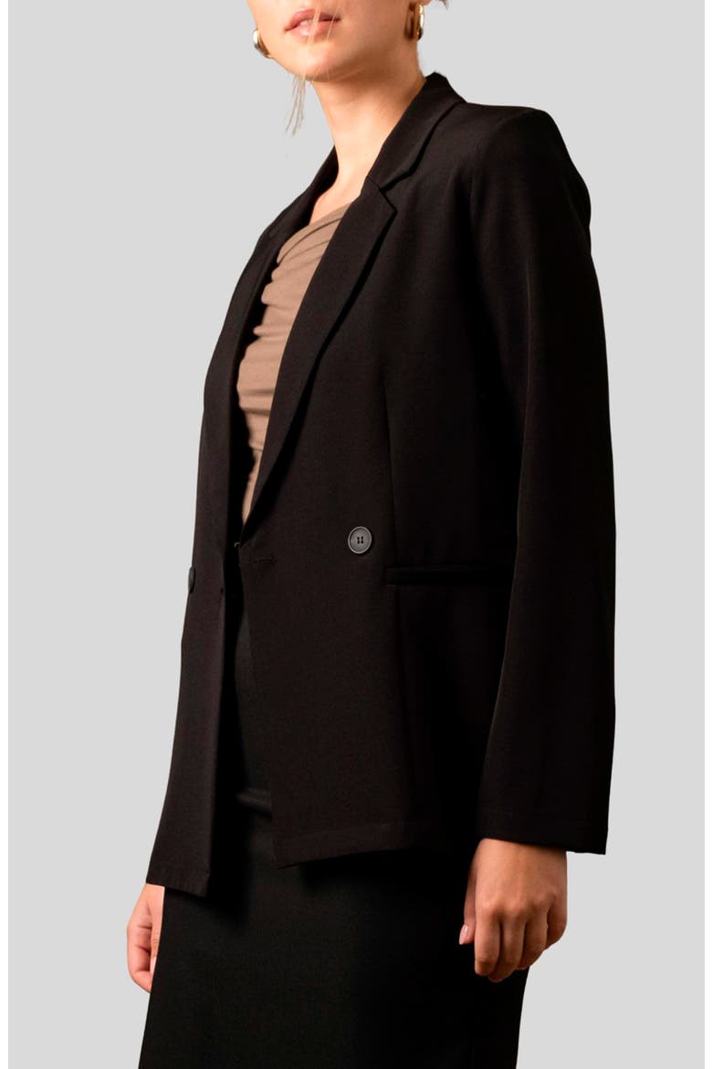 Solid Double Breasted Blazer, Alternate, color, BLACK