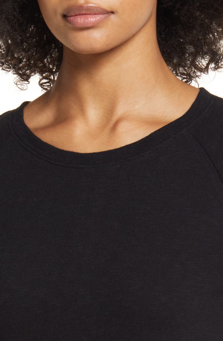 Caslon<sup>®</sup> Raglan T-Shirt Dress, Alternate, color, 