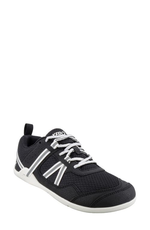 Xero Shoes Prio Barefoot Sneaker In Multi