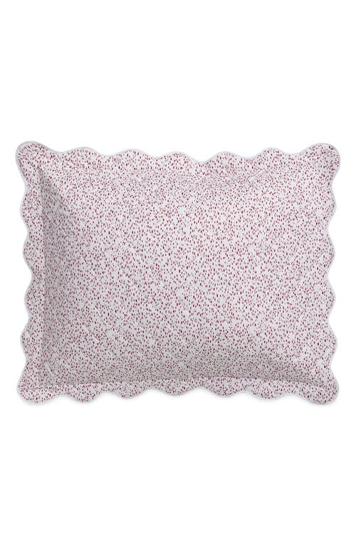 Matouk Celina Cotton Percale Quilted Sham