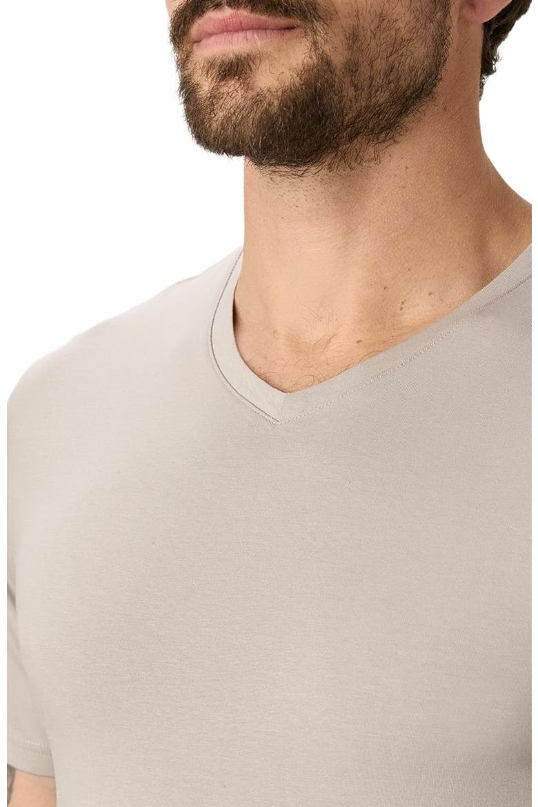 Luxe Stretch Jersey Slim V-Neck Tee, Alternate, color, Nickel