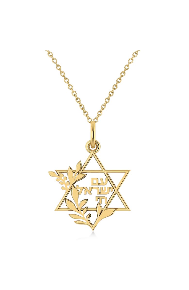 ALLUREZ Jewish Star Of David Am Yisrael Chai Pendant Necklace 14K, Main, color, 