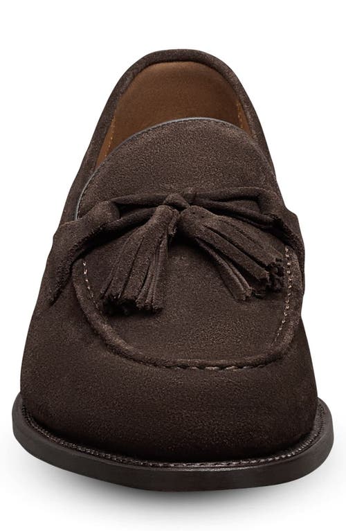 Allen Edmonds Sidney Tassel Loafer In Brown
