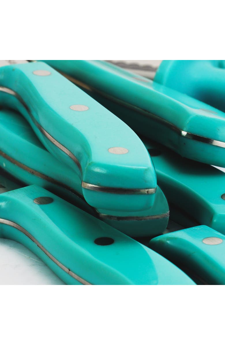 OSTER Evansville 14 Piece Stainless Steel Blade Cutlery Set with Plastic Handles, Alternate, color, Blue