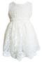 Floral Embroidered Dress
