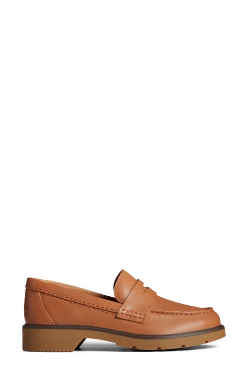 Sperry Top-sider® Sperry Wells Boat Shoe In Dark Tan