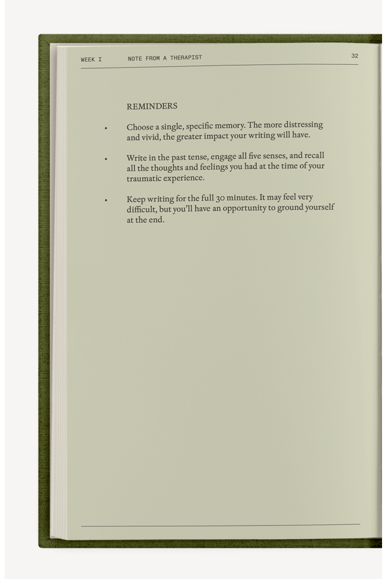 The After-Trauma Notebook, Alternate, color, Dark Olive Green