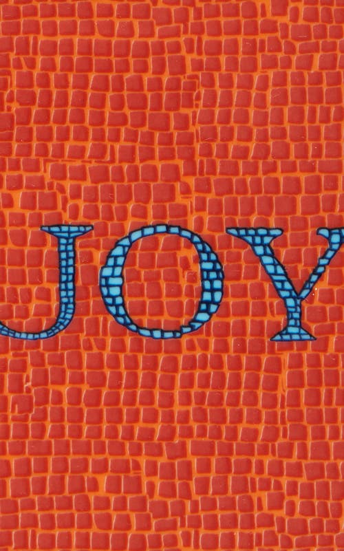 La Doublej Mini Tray Joy Coral In White