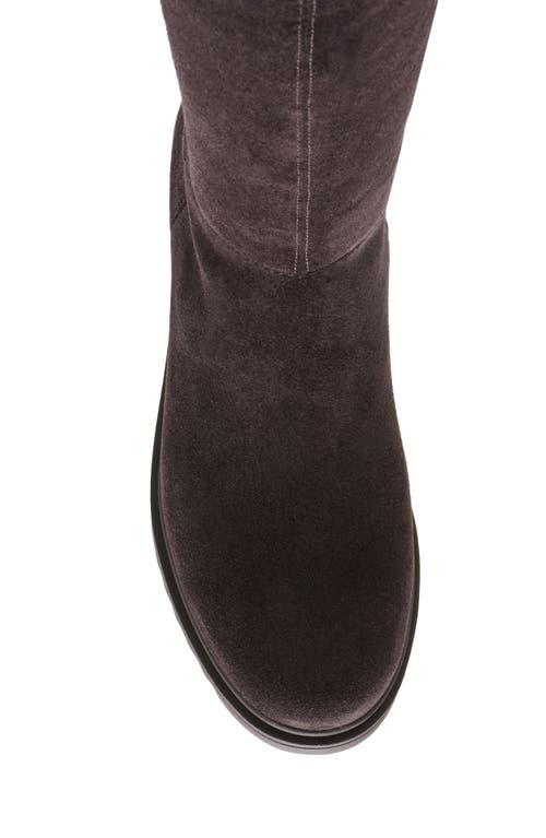 Blondo Colorado Waterproof Knee High Riding Boot In Animal Print