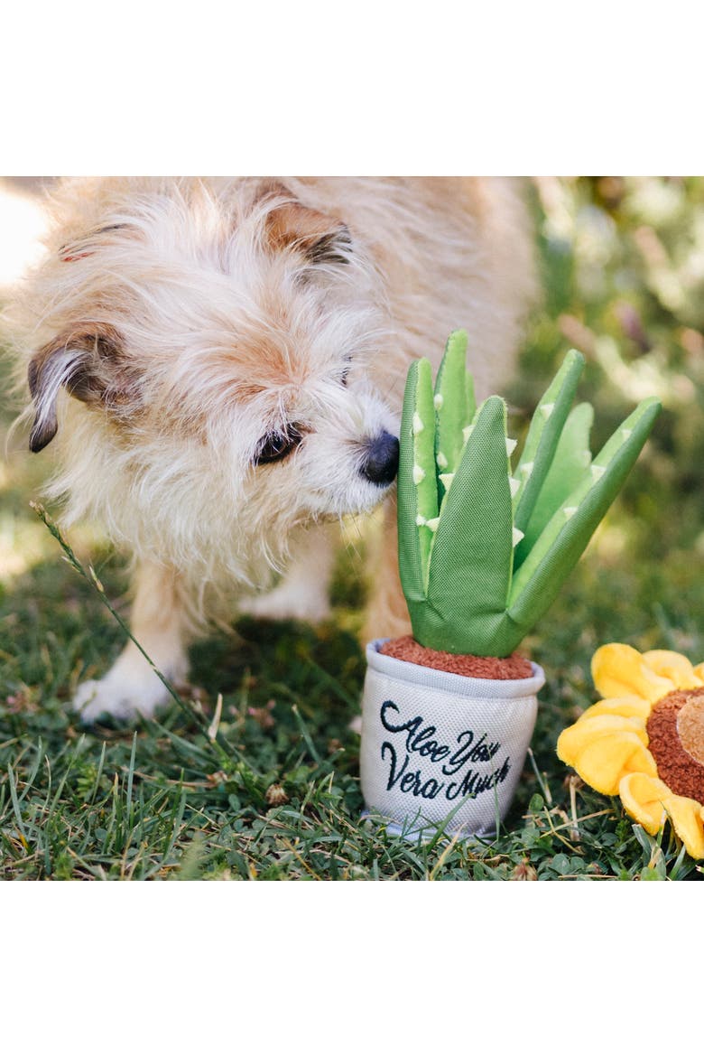 Blooming Buddies Aloeve You Plant, Plush Dog Toy, Crinkle Leaves, Alternate, color, Multicolored