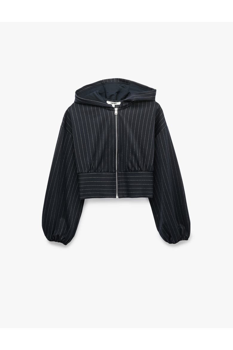 Long Sleeve Hooded Pinstripe Jacket, Alternate, color, NAVY STRIPE