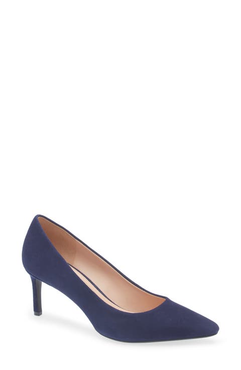 The Go-To Janey Pointed Toe Pump (Women)