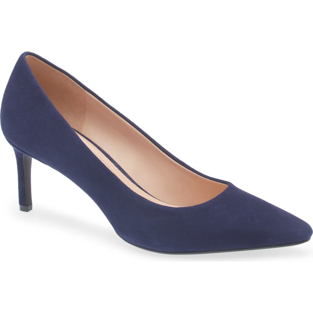 Cole Haan The Go-to Janey Pointed Toe Pump In Blue