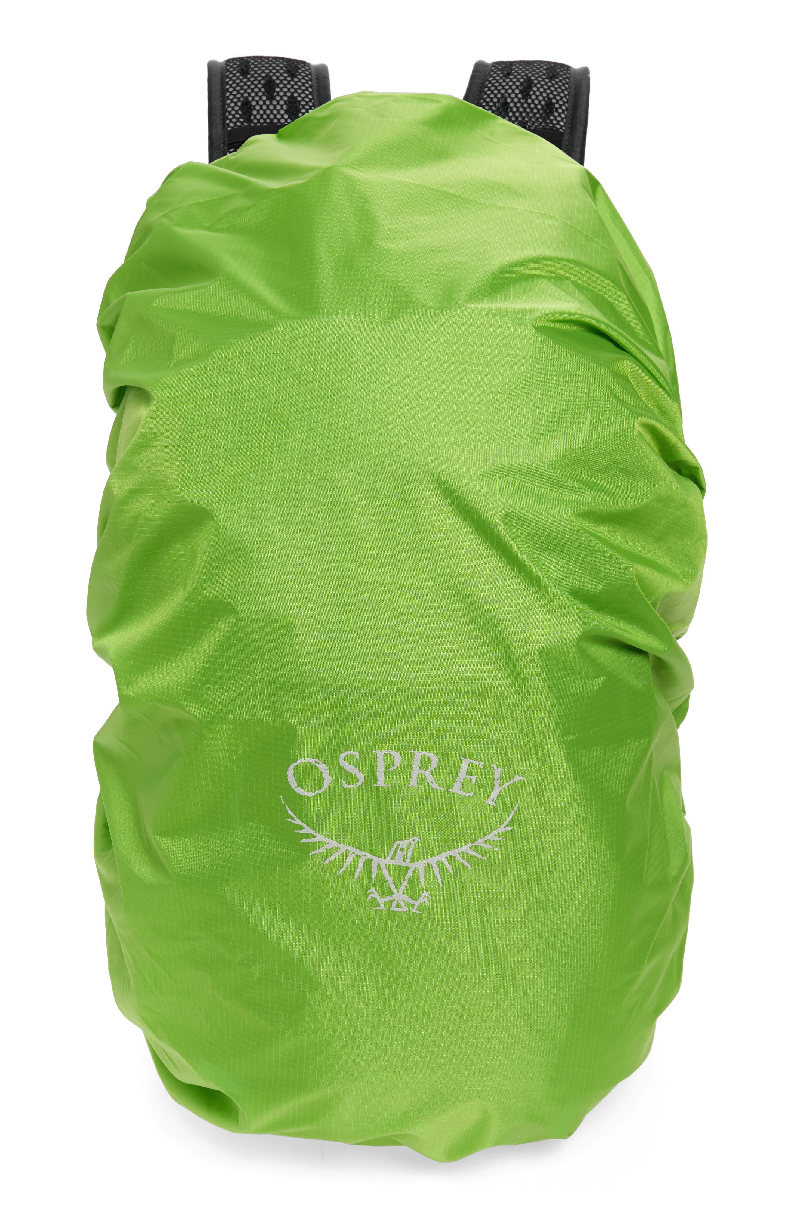 Osprey Hikelite 18L Hiking Backpack, Alternate, color, 