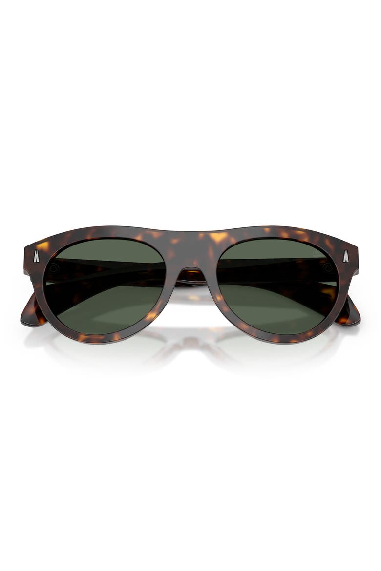 53mm Splash Oval Sunglasses, Alternate, color, HAVANA / SOLID DARK GREEN