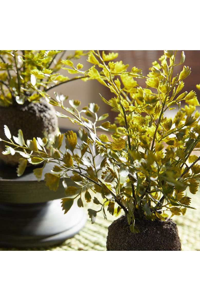 Maidenhair Drop-Ins Set of 3, Alternate, color, Green