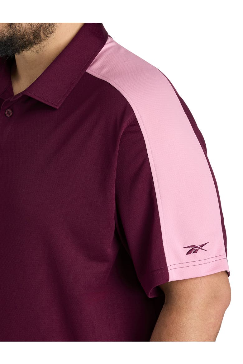 Big & Tall Colorblocked Polo Shirt, Alternate, color, BLACK CHERRY