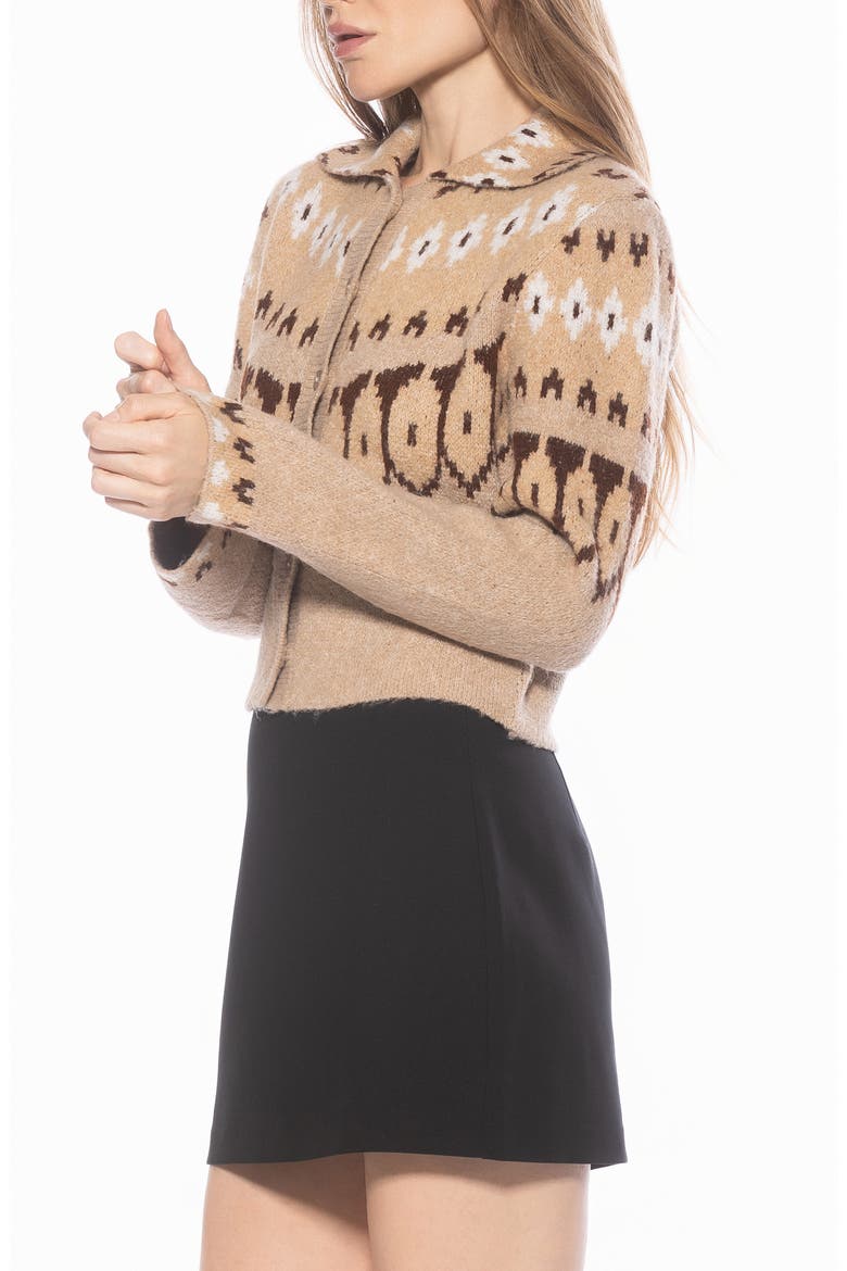 Wayne Collared Knit Cardigan, Alternate, color, BEIGE MULTI