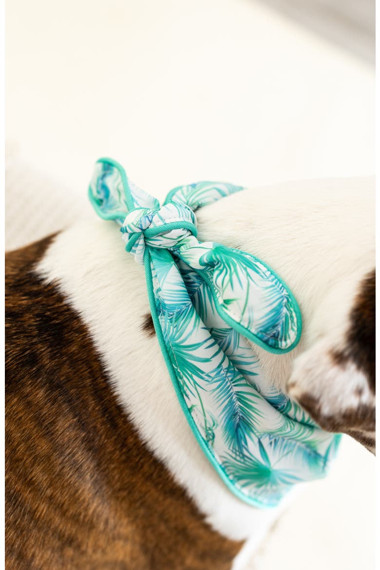 Capri Pet Bandana, Alternate, color, Capri