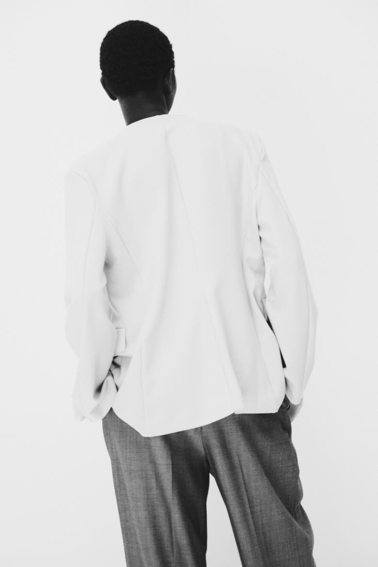 Collarless Jersey Blazer, Alternate, color, Beige