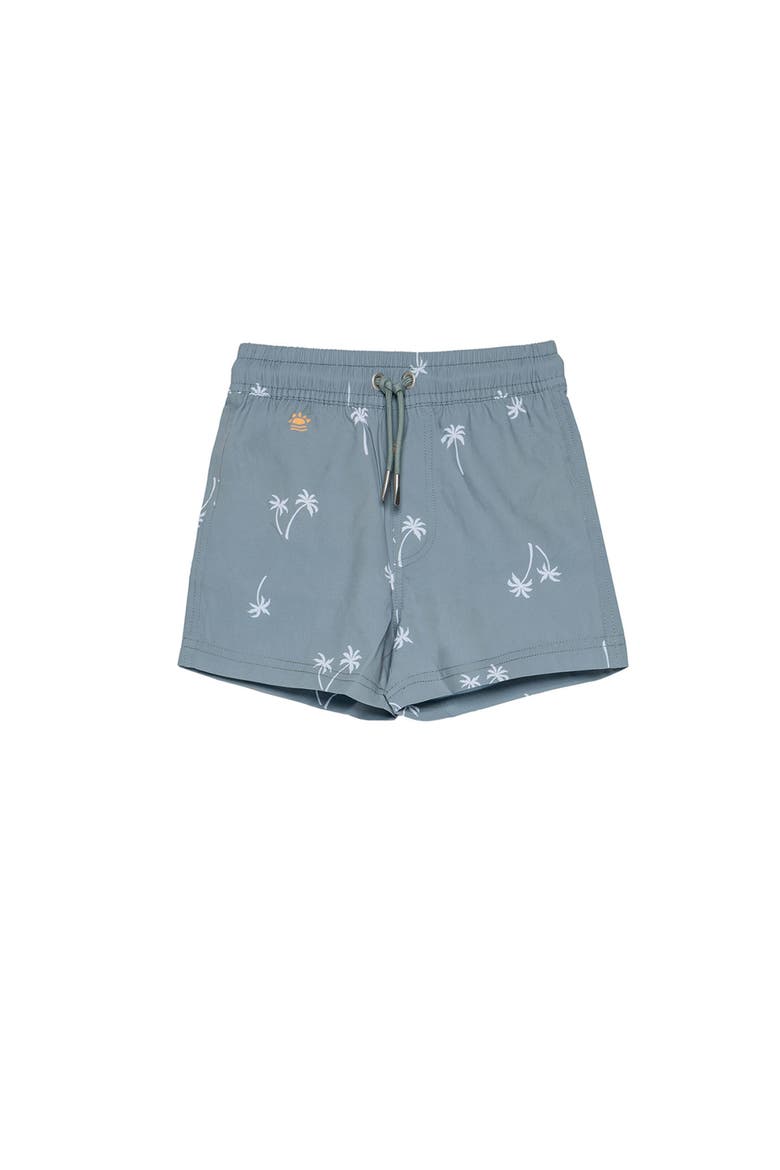 Beach Scout Drawstring Swim Shorts, Main, color, Multi-Green