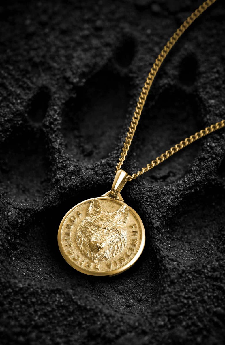 Vincero Wolf Medallion Pendant Necklace, Alternate, color, Gold