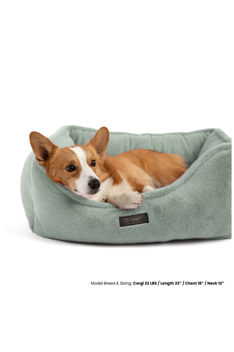 Dream One Cloud  Dog  Bed - Reversible Cat & Dog Bed for Small to Medium Breeds, Alternate, color, Paris Green