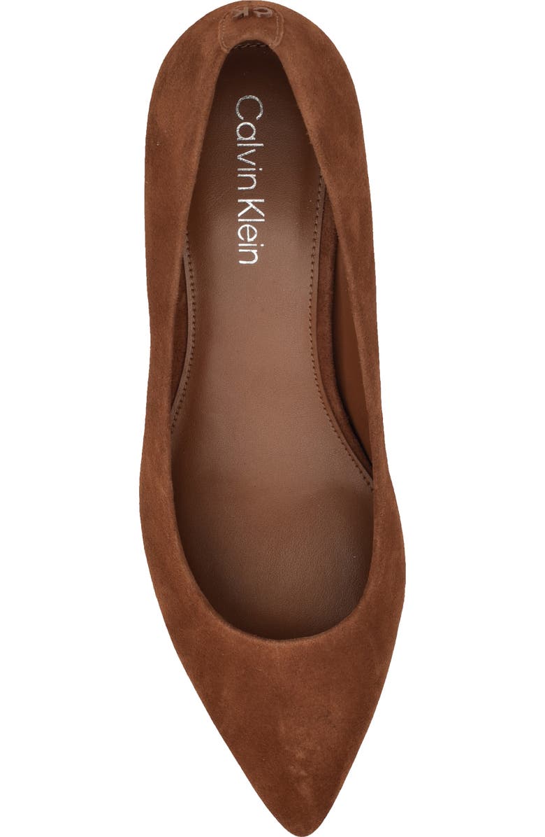 Calvin Klein Lenott Pointed Toe Pump, Alternate, color, Light Natural 111